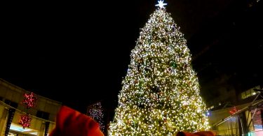 Faneuil Hall Christmas Tree